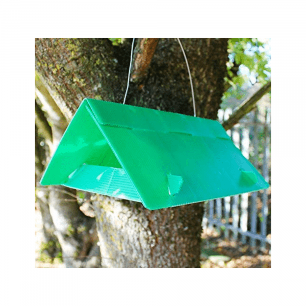 Untitled design 3